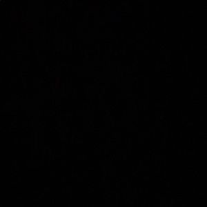 Meet your Posher, Tae